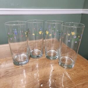 Pfaltzgraff Meadow Lane 16 ounce Floral Tall Tumbler Drinking Glasses